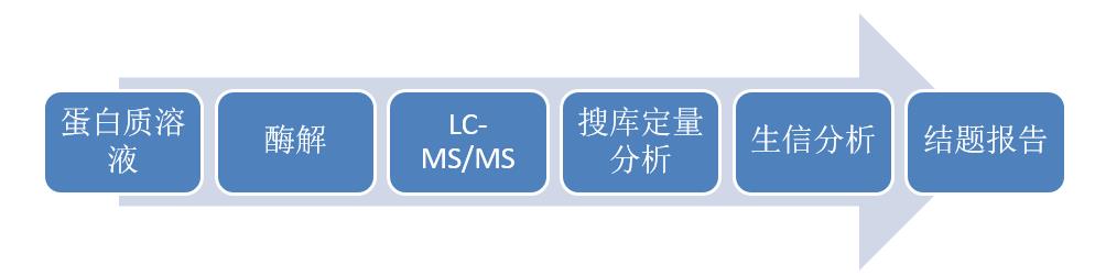 label free流程.jpg