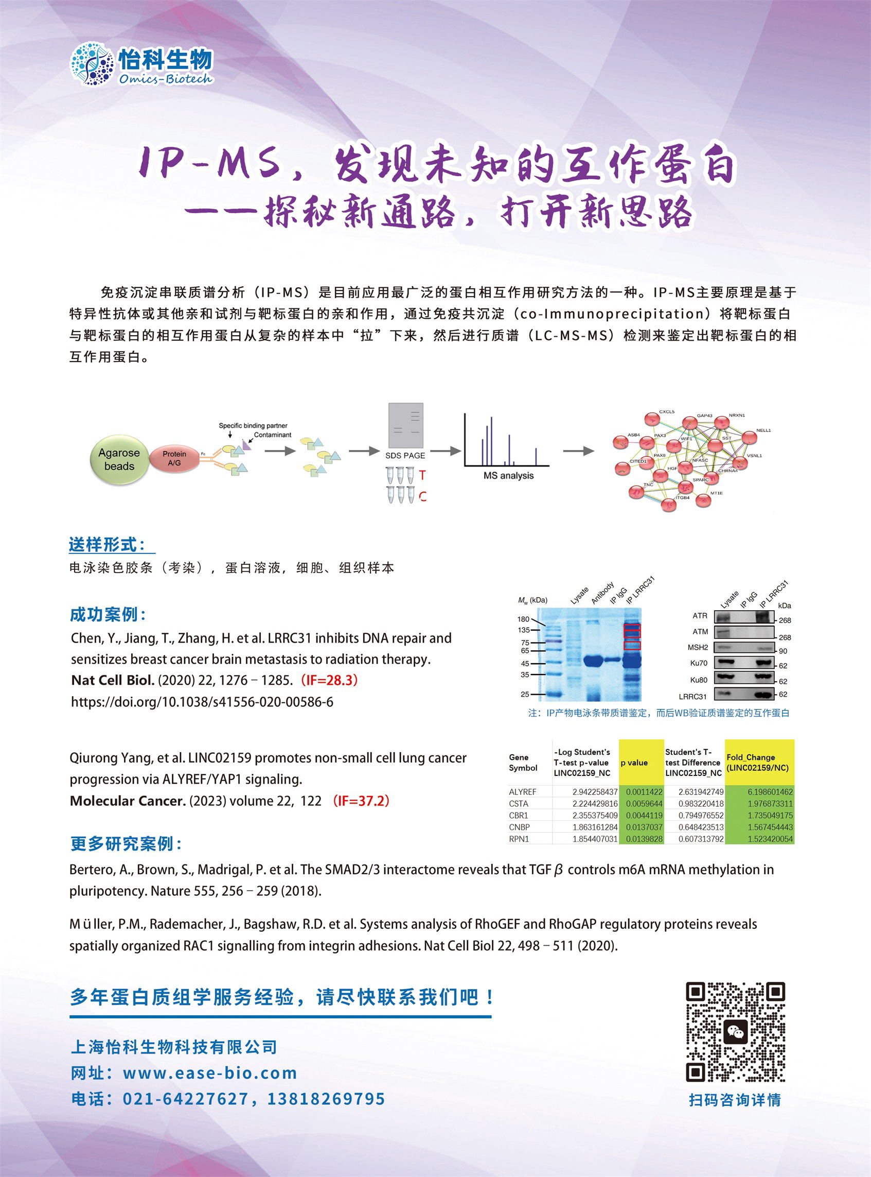 IP-MS---副本2_看圖王.jpg